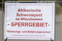 Zum Newsbereich