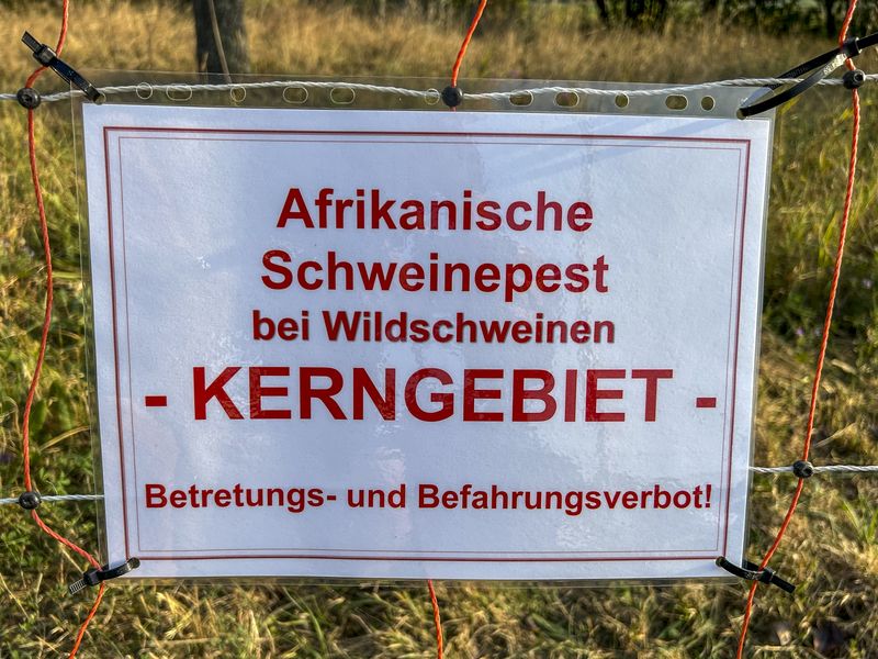 ASP-Warnung an einem ASP-Zaun in der Uckermark