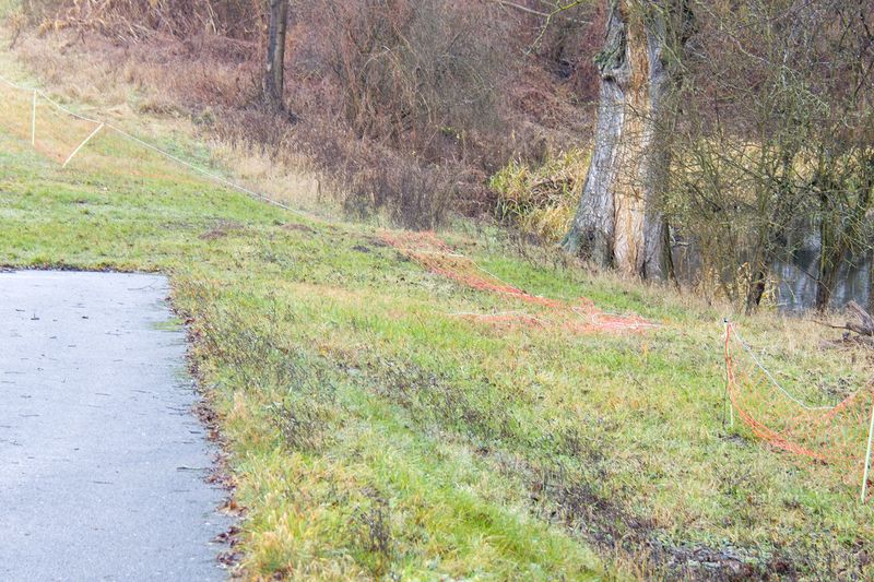 Der abgelegte Elektrozaun. Ob dieser mit der Jagd zutun hat, ist nicht klar.