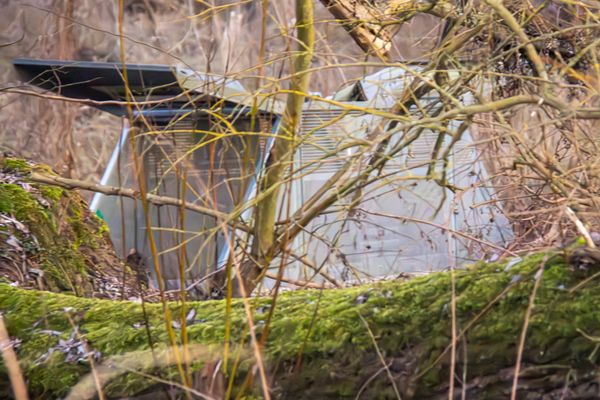 Wildtierfalle im Baum und Buschwerk versteckt