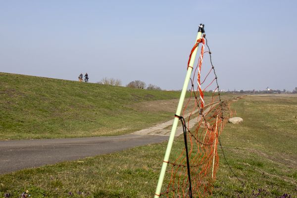 Elektrozaun wieder in den Polder gesetzt