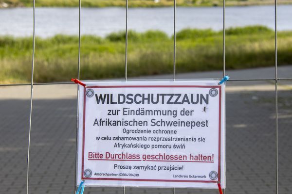 Bauzaun an der Oder am Grenzübergang bei Schwedt, hier hinter wurden schon Angler gesichtet, trotz Zaun...