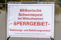 Zum Newsbereich